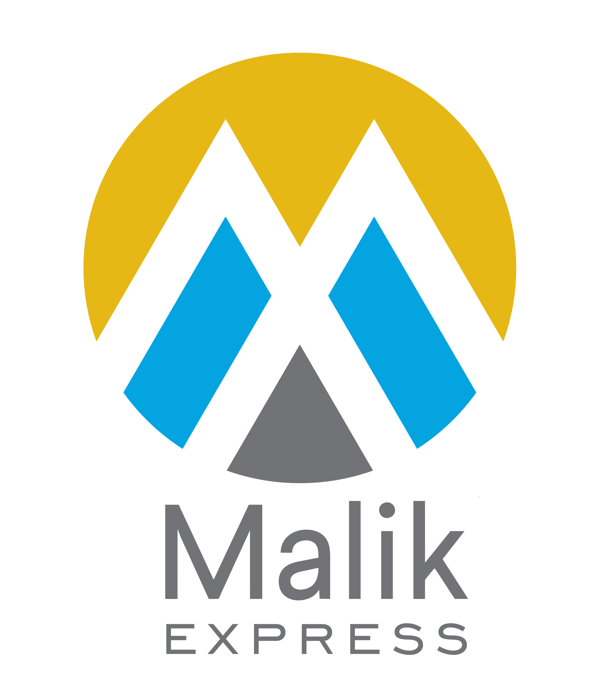 Malik Express Logo